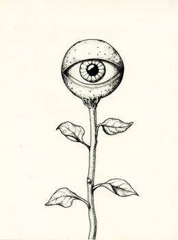 Eyeplant