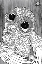 Owl [PURCHASABLE]