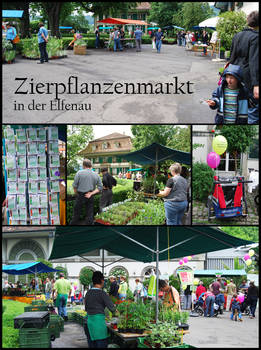 Zierpflanzenmarkt Elfenau