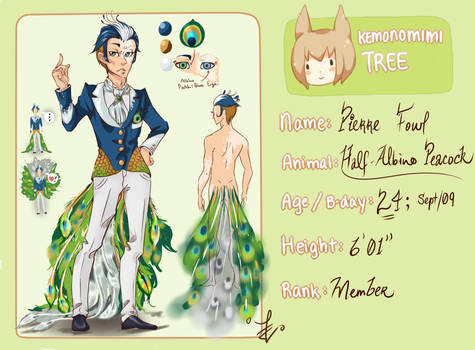 Kemonomimi Application: Pierre