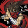 Special A-Class Strider Hiryu