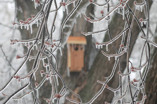 Winter Cottage