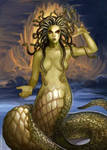 Medusa by Evolvana
