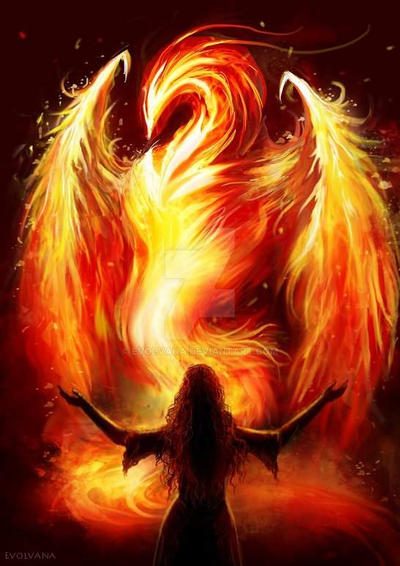 The Phoenix