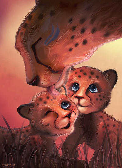 Cheetah family kiriban