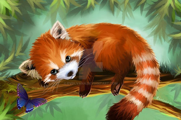 Red Panda by Evolvana on DeviantArt