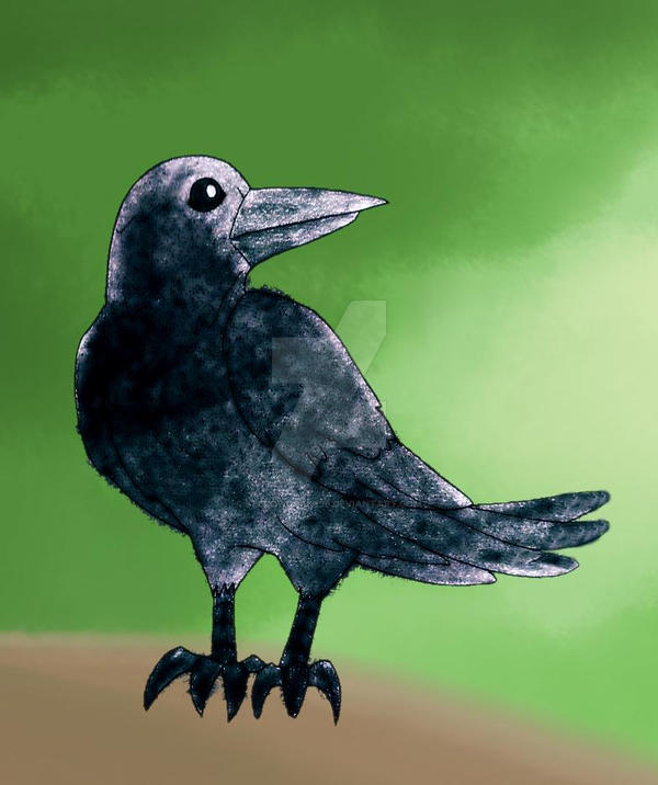 My Raven Drawing by Yellowdrake26 on DeviantArt
