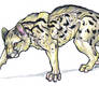 Common Genet