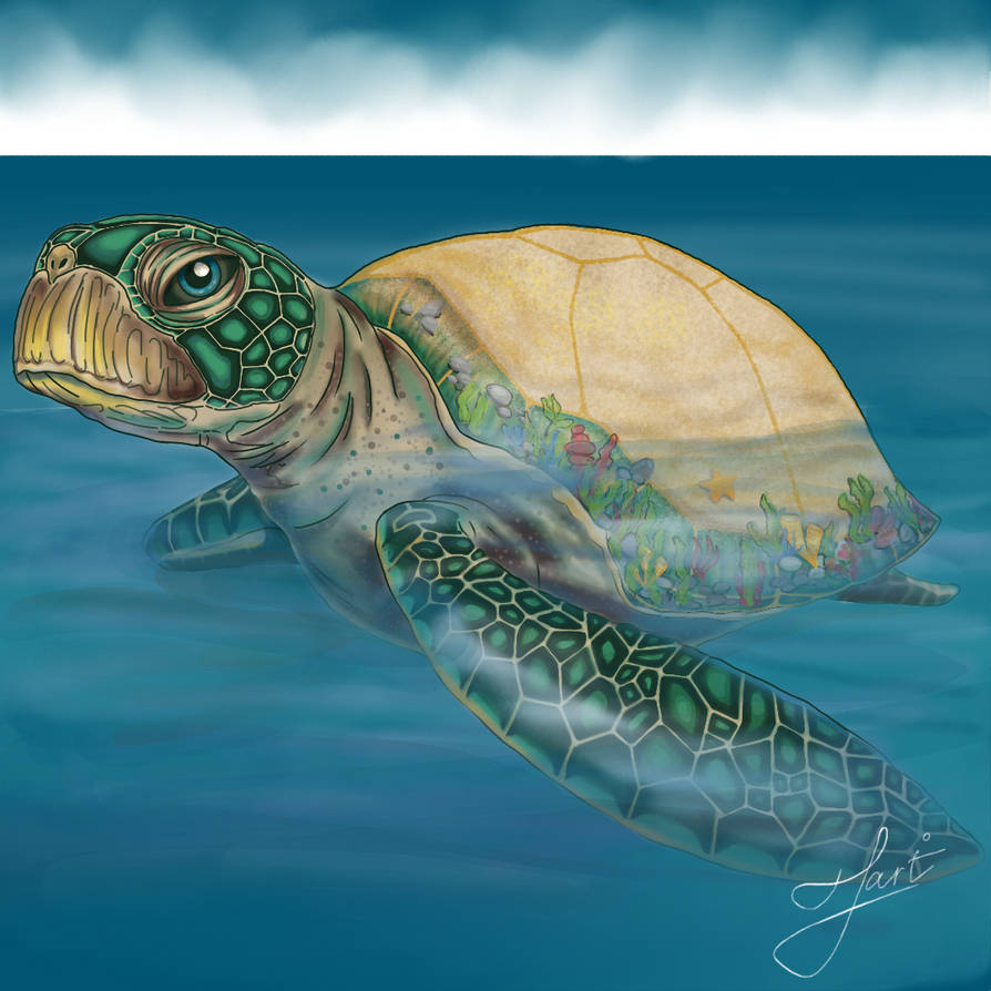 Sam Turtle Deviantart Turtle by JuliArt1st on DeviantArt