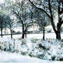 Snowscape