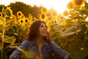 Sunflower Fields Forever