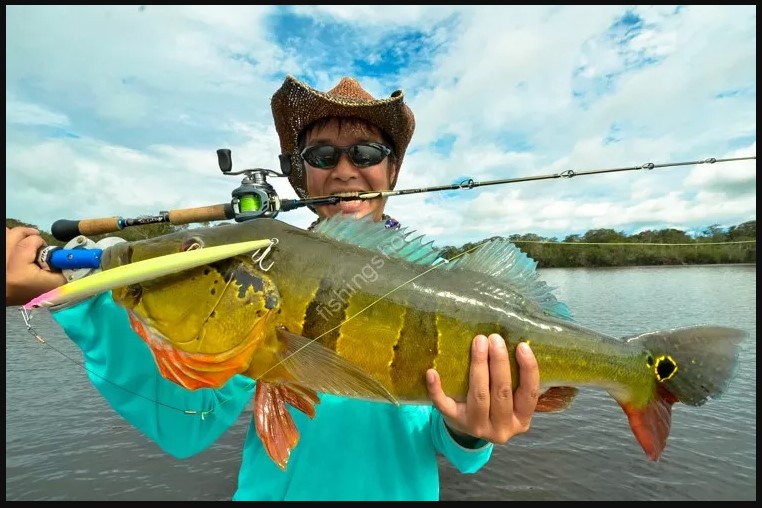 Fishing Equipment & Accessories Online : Buy Fishing Equipment