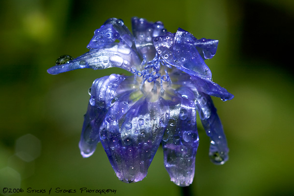 Blue Glass