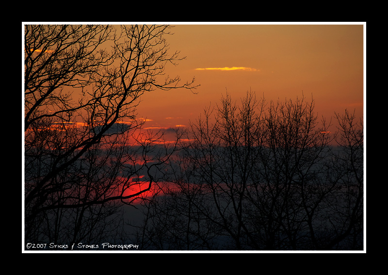 Sunset Silhouette II