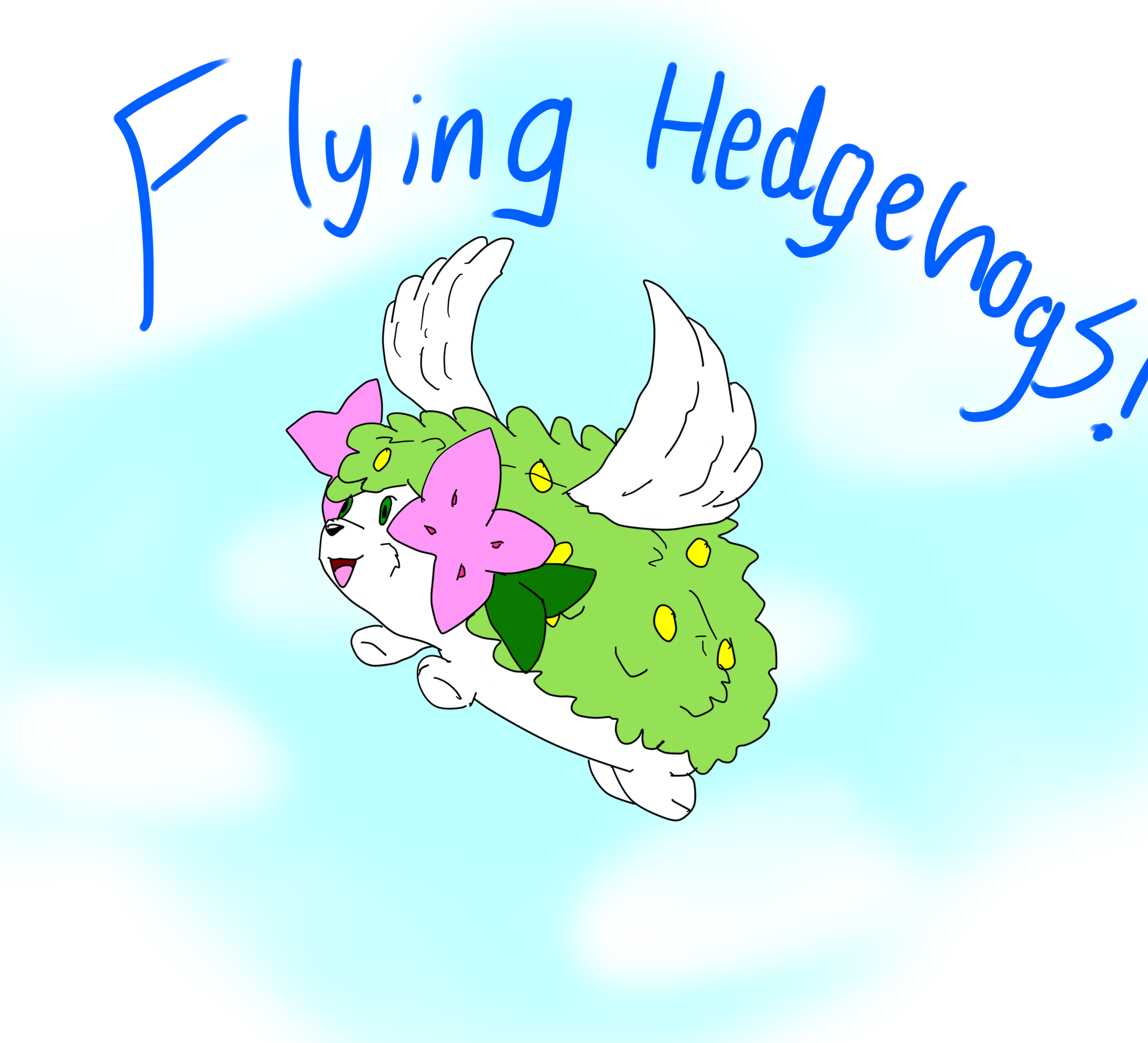 Flying Hedgehogs!