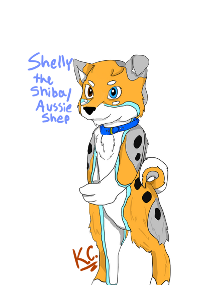 Aussie 2024 shiba mix