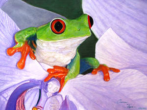 Tree Frog