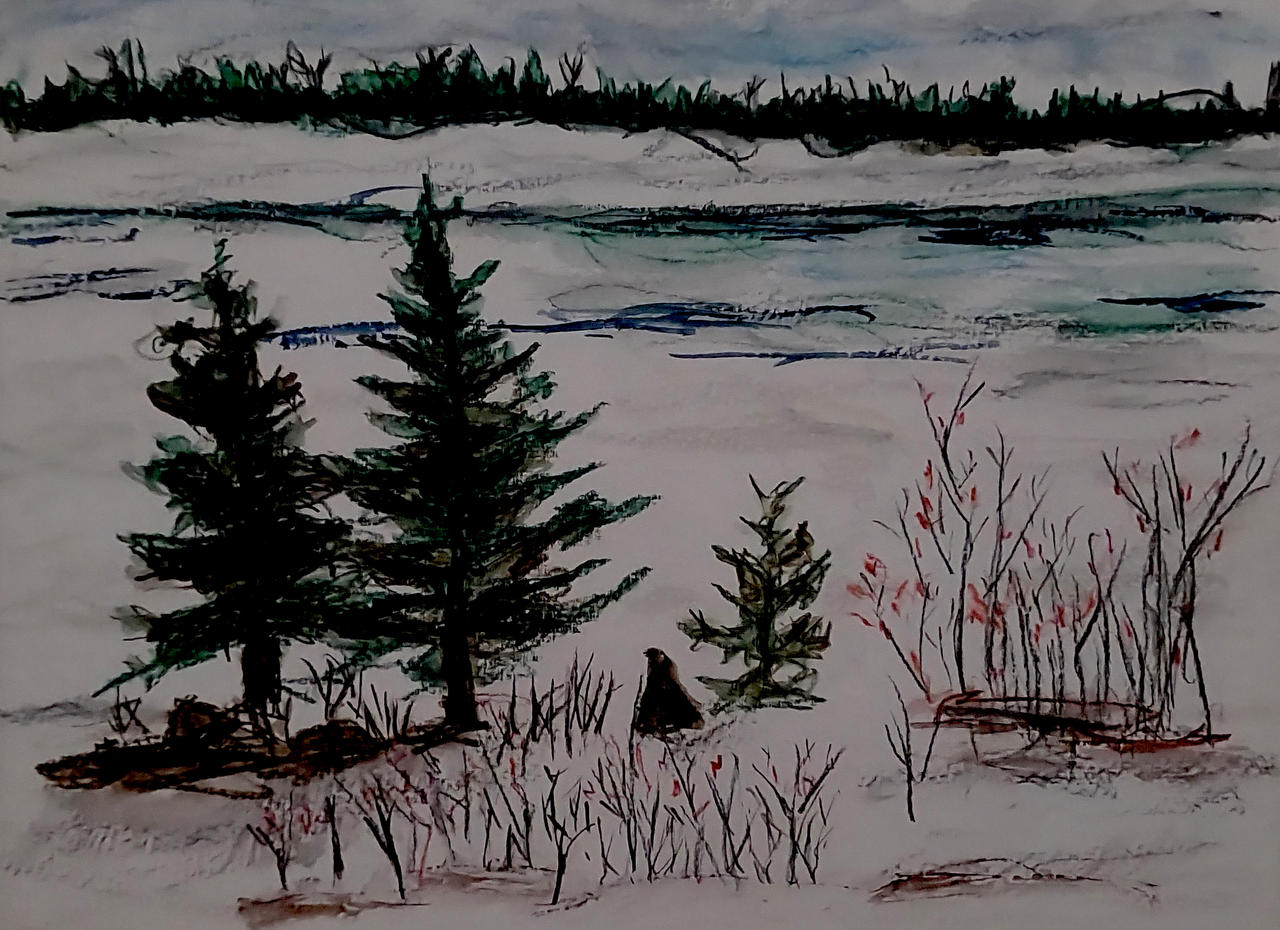 Devils Track Lake Winter