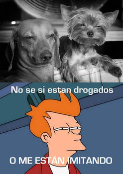 Perros Drogados ???