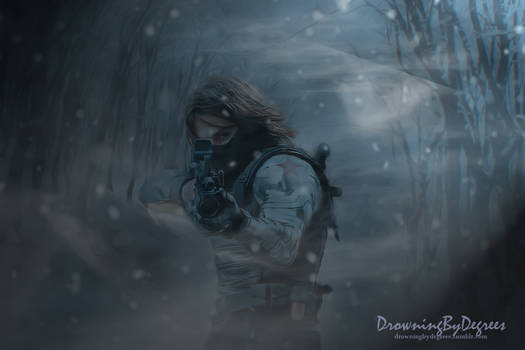 The Winter Soldier