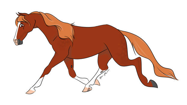 Chestnut Mare