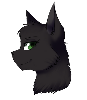 Hollyleaf Headshot