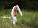 Miniature Hobbyhorse (giveaway prize) by Eponi-hobbyhorses