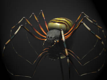 Spider Tiger 3D