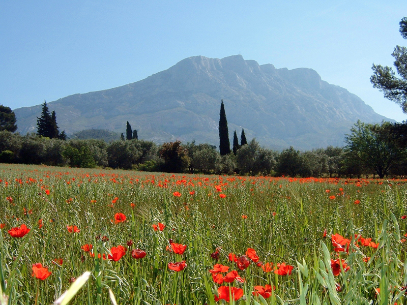 Sainte Victoire Mountain