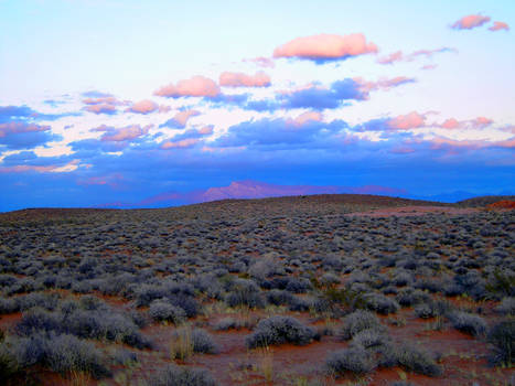 Pink Clouds