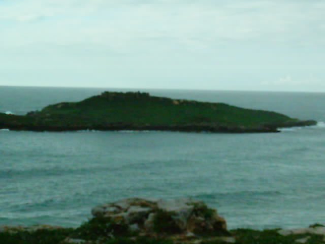 ilha pessegueiro