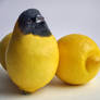 Lemonbird