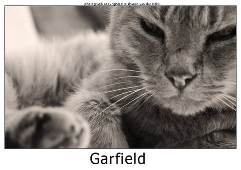 Garfield