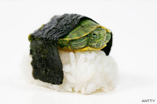 Turtle Sushi