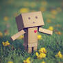 A Hug For You
