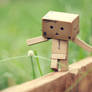 Never give up
