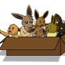 Box of Eevee's