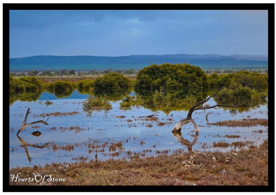 Senic View by HeartsOfStone on DeviantArt