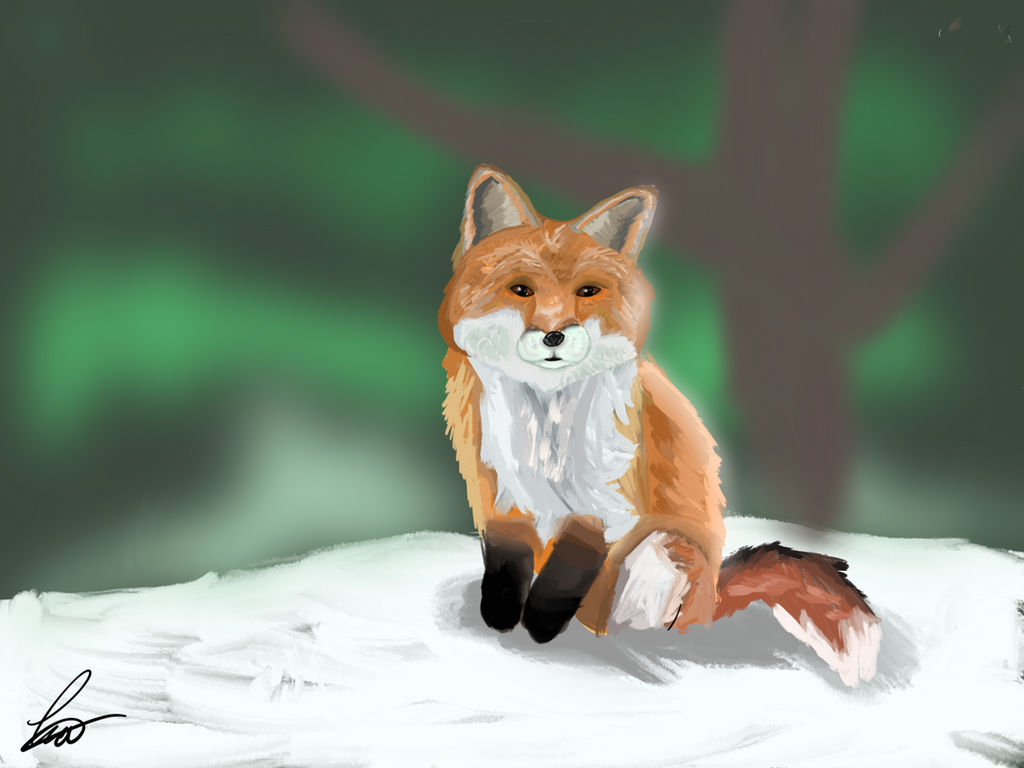 Deviantart Limber Fox Fox by TheLimeKiwi on DeviantArt