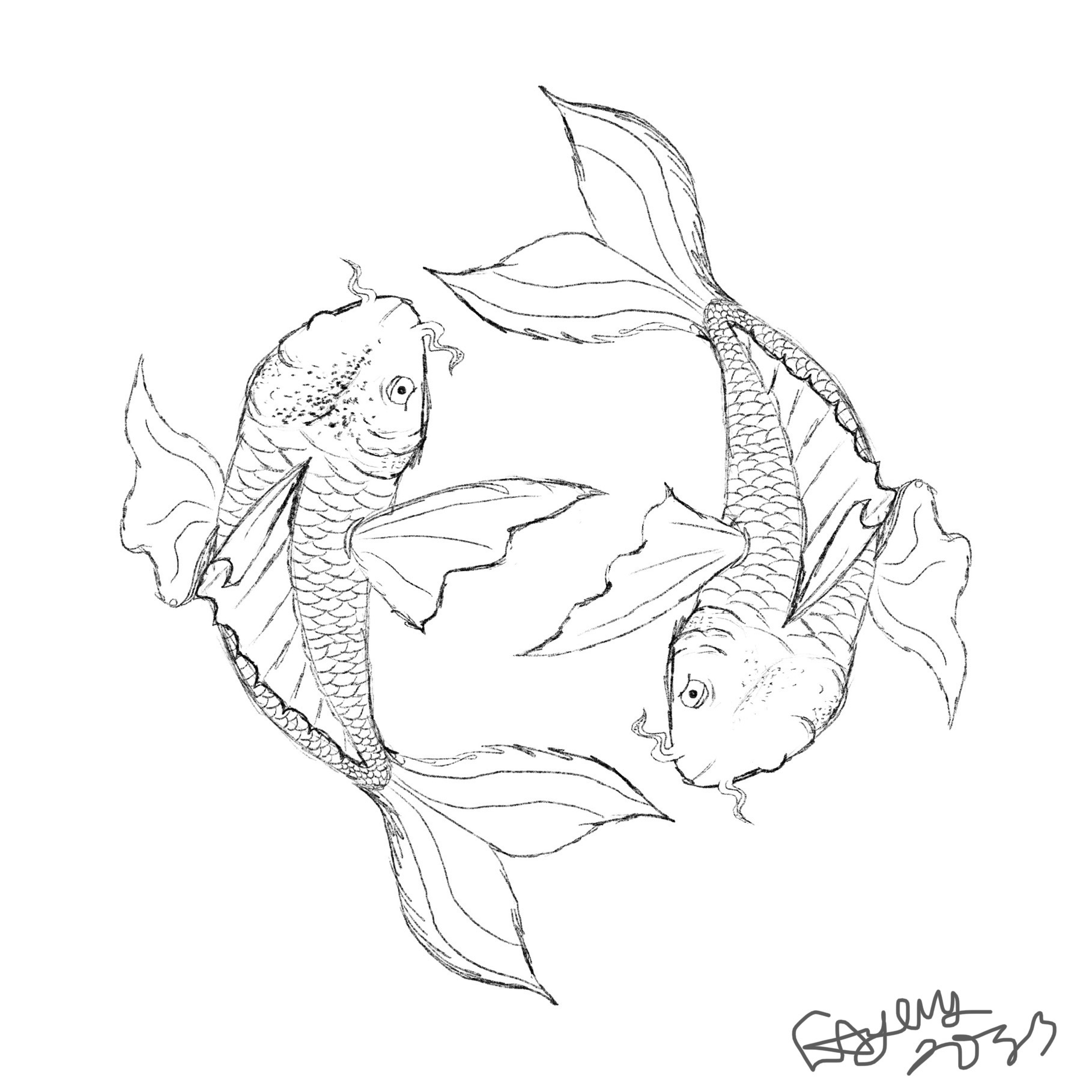 Deviantart Drawings Koi Fish