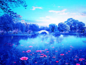 background stock106