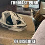 Mast'Purr Of Disguise