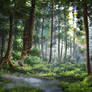 Witcher Brokilon Forest