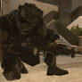 Shadow Company Special Forces #2