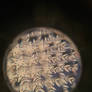 Snowflake kaleidoscope