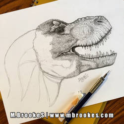 Tyrannosaurus rex Update 3