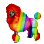 Rebecca The Rainbow Poodle (PNG)