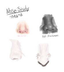 Nose Study No.1