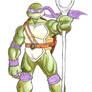 Indigo Tribe Donatello