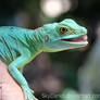 Basiliscus basiliscus